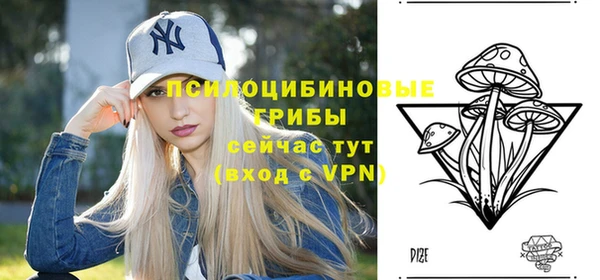 соль курить ск Богородск
