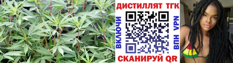 Купить закладки  Почеп  ТГК гашишное масло 