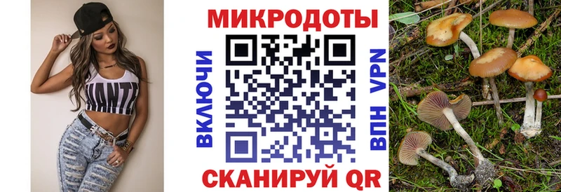 Галлюциногенные грибы MAGIC MUSHROOMS  Купить где  Почеп 