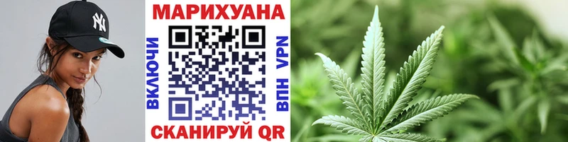 Купить  Почеп  Бошки марихуана конопля 